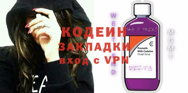 соль ск Каменка