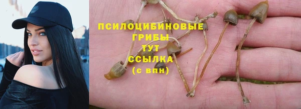 соль ск Каменка