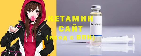 соль ск Каменка
