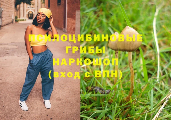 соль ск Каменка