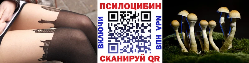 Псилоцибиновые грибы MAGIC MUSHROOMS  Купить где  Полесск 